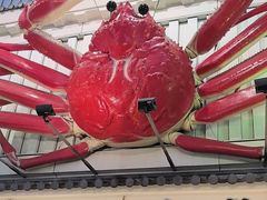 -蟹道乐(道顿堀本店)