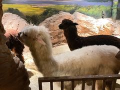 -绿色星球动物主题公园