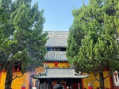 -秋霞圃