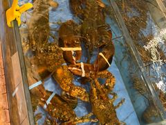 -御满江海鲜酒家(洛溪新城店)