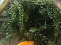 -越海渔村