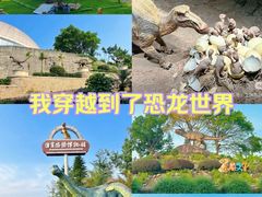 -自贡恐龙博物馆