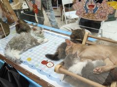 -银隆百货(萧山店)