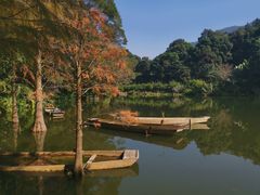 -深圳仙湖植物园