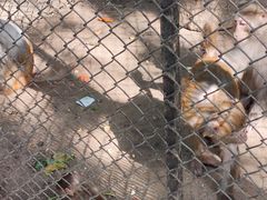 -长白岛森林公园