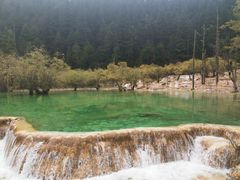 -黄龙山原始森林景区