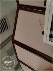 -ANE玫可美美容美体中心