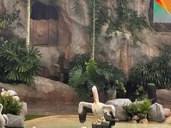 -新加坡飞禽公园