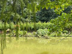 -深圳仙湖植物园