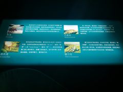 -世界恐龙谷景区