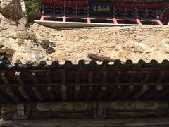 -藏山旅游风景区