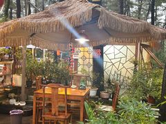 -小小饭店·休闲农庄·安吉松树林里的农家菜