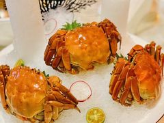 -人间采蜜(海信广场店)