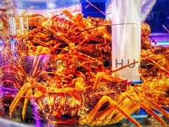 -新海渔港·胶东海鲜家常菜·家宴(奥体中心店)