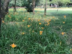 -贵阳市花溪国家城市湿地公园