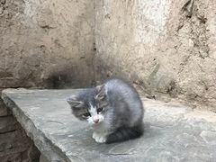 -梁家河村红色旅游区