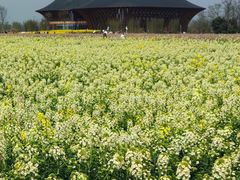 -中国天府农业博览园