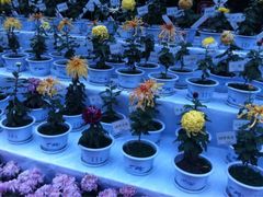 iphone_upload_pic-迎泽公园