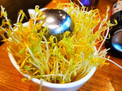 -张烤鸭·川菜·非遗冒烤鸭(青石桥店)