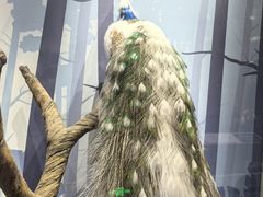 -陕西自然博物馆