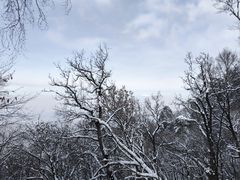 -终南山南五台景区