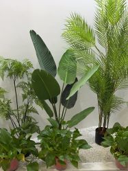 -VE专注问题肌·赛诺龙&科学美肤中心