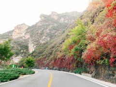 -同福农家菜(霞云岭国家森林公园店)