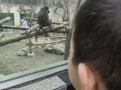 -成都动物园