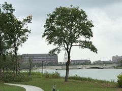 -海宁鹃湖公园