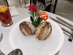 六头鲍鱼-红雀围·海鲜火锅(陆家嘴中心店)