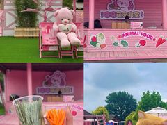 -渔岛海洋度假区