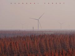 -黄海国家森林公园