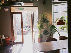 -Wagas沃歌斯(枫蓝国际店)