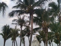 -玫瑰海岸文化旅游度假区