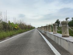 -芒洲湿地公园