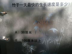 -镇江市南山风景名胜区竹林景区