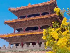 -北陵公园