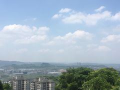 -铁山坪森林公园