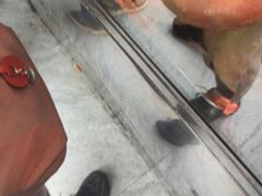 -杨震卤菜旗舰店