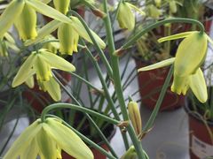 -南通洲际绿博园