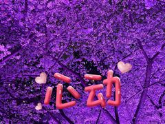 -西北湖绿化广场