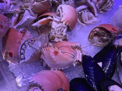 -凤凰岛度假酒店-海鲜自助餐厅