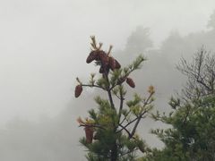 -秦岭天竺山景区