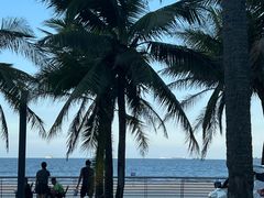 -西秀海滩公园