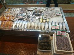 -御唐府海珊瑚主题餐厅