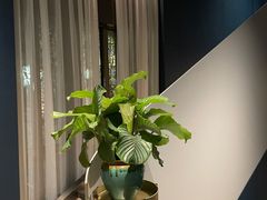 -徐记海鲜(南油永新汇店)