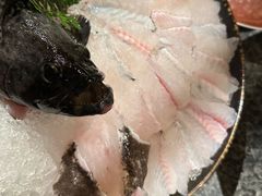 龙趸鱼-辉哥火锅(虹桥路店)