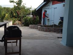 -Scarborough Fish & Chips- Tanjung Rhu