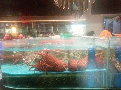-阿伟海鲜楼·福建菜(延寿店)