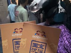 -广西壮族自治区博物馆